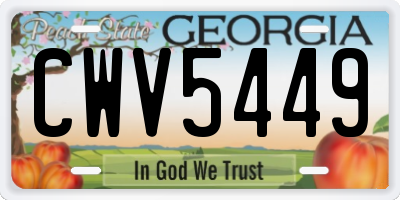 GA license plate CWV5449
