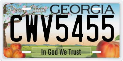 GA license plate CWV5455