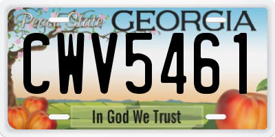 GA license plate CWV5461