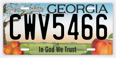 GA license plate CWV5466