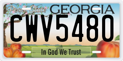GA license plate CWV5480