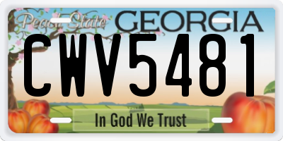 GA license plate CWV5481