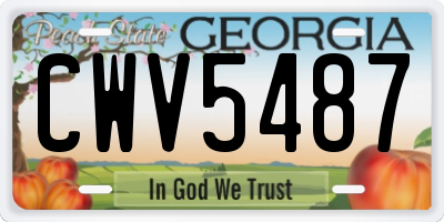 GA license plate CWV5487