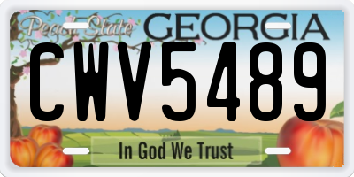 GA license plate CWV5489