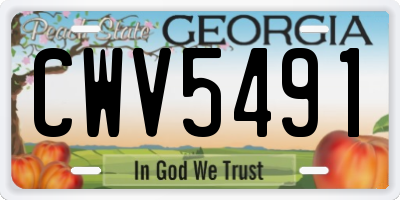 GA license plate CWV5491