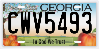 GA license plate CWV5493