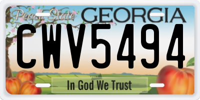 GA license plate CWV5494