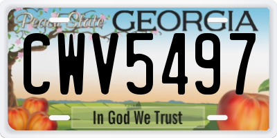 GA license plate CWV5497