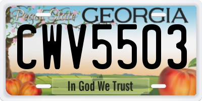 GA license plate CWV5503