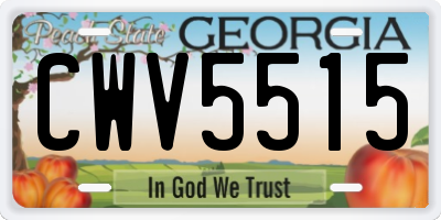 GA license plate CWV5515