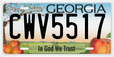GA license plate CWV5517