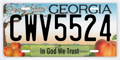 GA license plate CWV5524