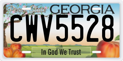 GA license plate CWV5528