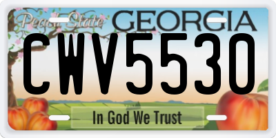 GA license plate CWV5530