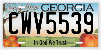 GA license plate CWV5539