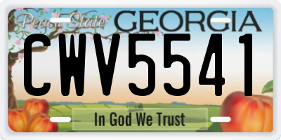 GA license plate CWV5541