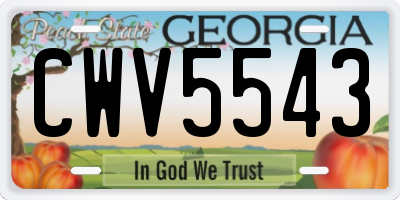 GA license plate CWV5543