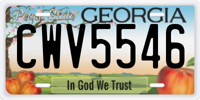 GA license plate CWV5546