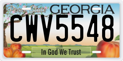 GA license plate CWV5548