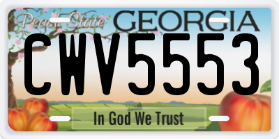 GA license plate CWV5553