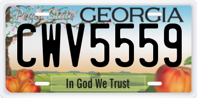 GA license plate CWV5559