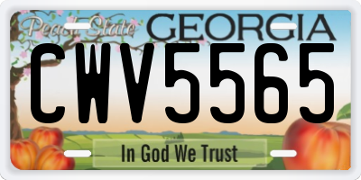 GA license plate CWV5565