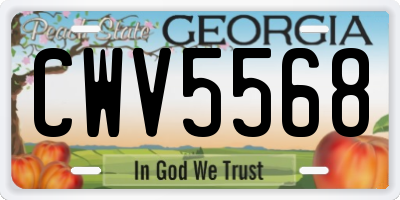 GA license plate CWV5568