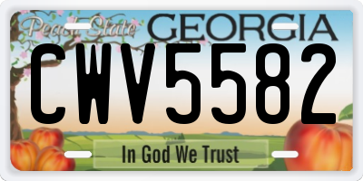 GA license plate CWV5582