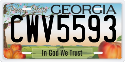 GA license plate CWV5593