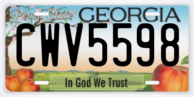 GA license plate CWV5598