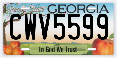GA license plate CWV5599