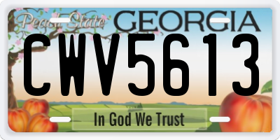 GA license plate CWV5613