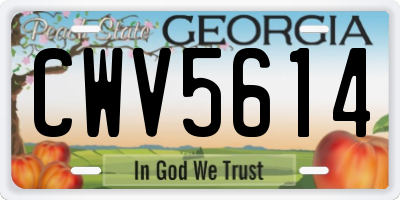GA license plate CWV5614