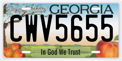 GA license plate CWV5655