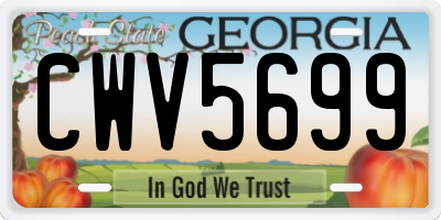 GA license plate CWV5699
