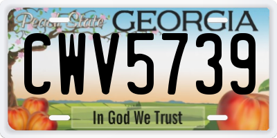 GA license plate CWV5739
