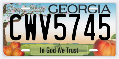 GA license plate CWV5745