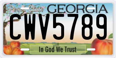 GA license plate CWV5789
