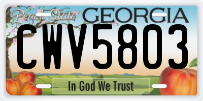 GA license plate CWV5803
