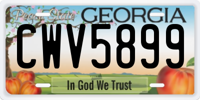 GA license plate CWV5899