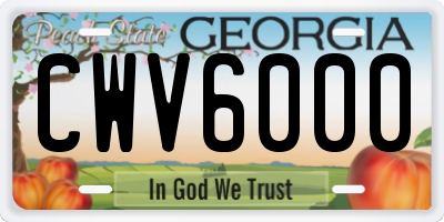 GA license plate CWV6000