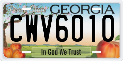 GA license plate CWV6010