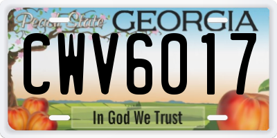 GA license plate CWV6017