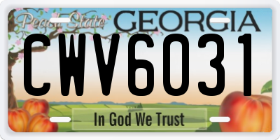GA license plate CWV6031