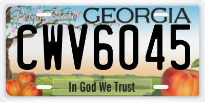 GA license plate CWV6045