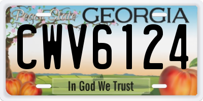 GA license plate CWV6124