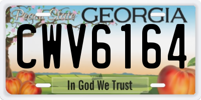 GA license plate CWV6164