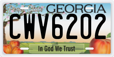 GA license plate CWV6202