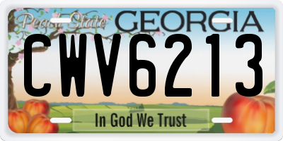 GA license plate CWV6213