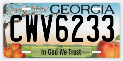 GA license plate CWV6233